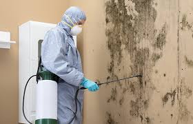 Best Forensic Mold Investigation  in Red Bank, NJ